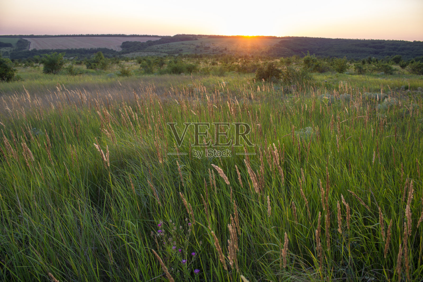 场在日落时分照片摄影图片