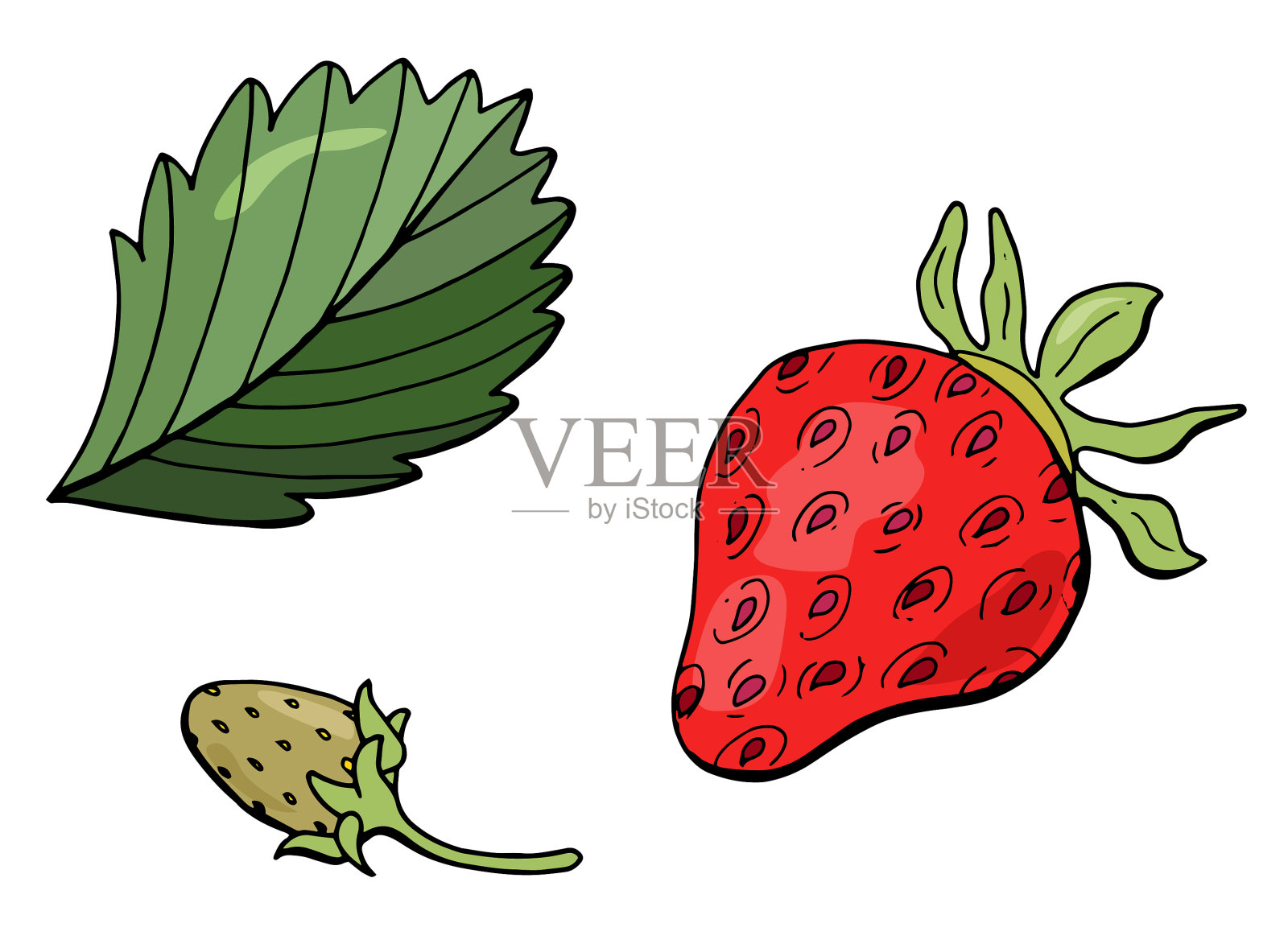 草莓草莓集手绘风格插画图片素材