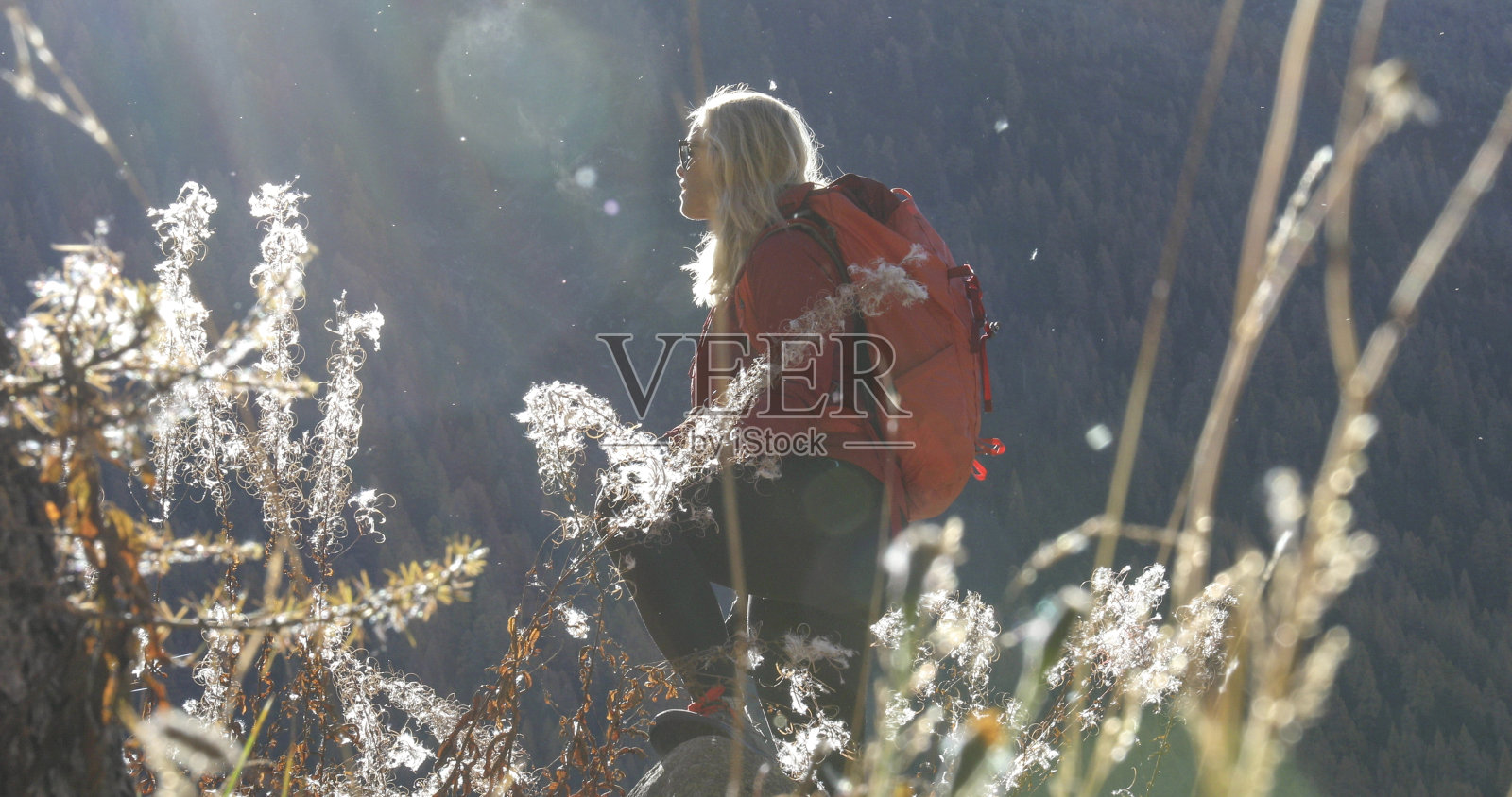 清晨,一名女子徒步穿过阳光明媚的草地照片摄影图片