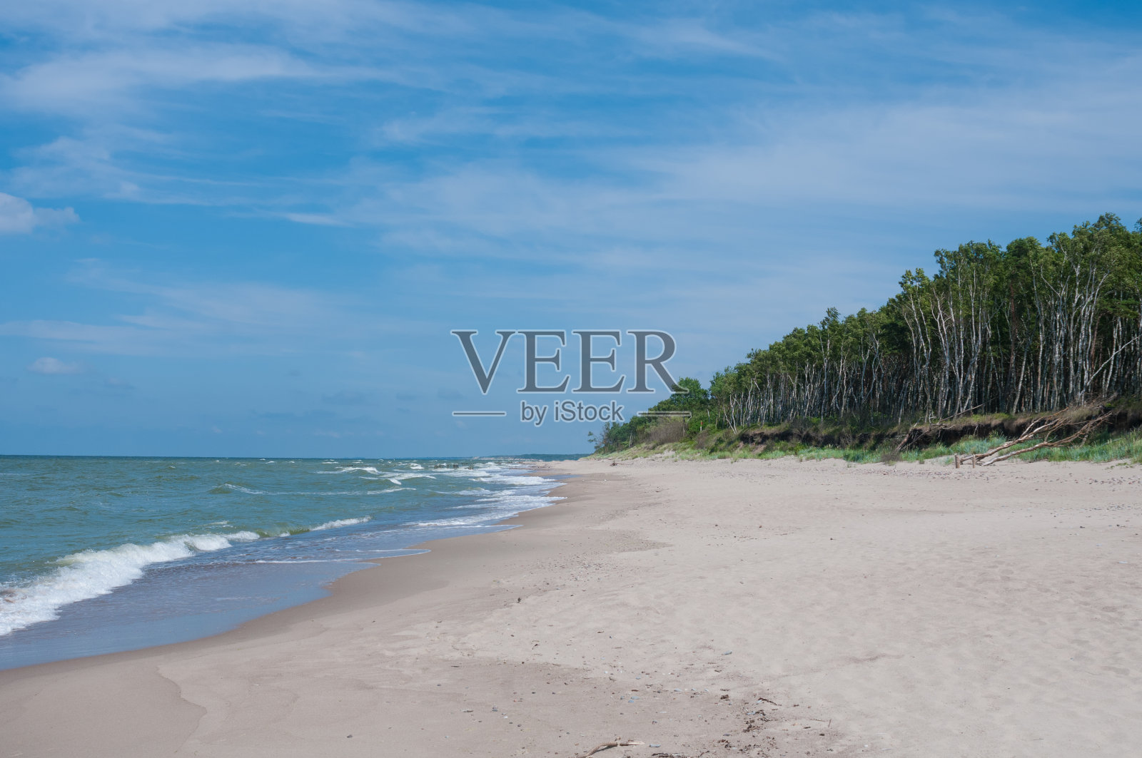 沙滩海岸和森林。宁静的风景照片摄影图片
