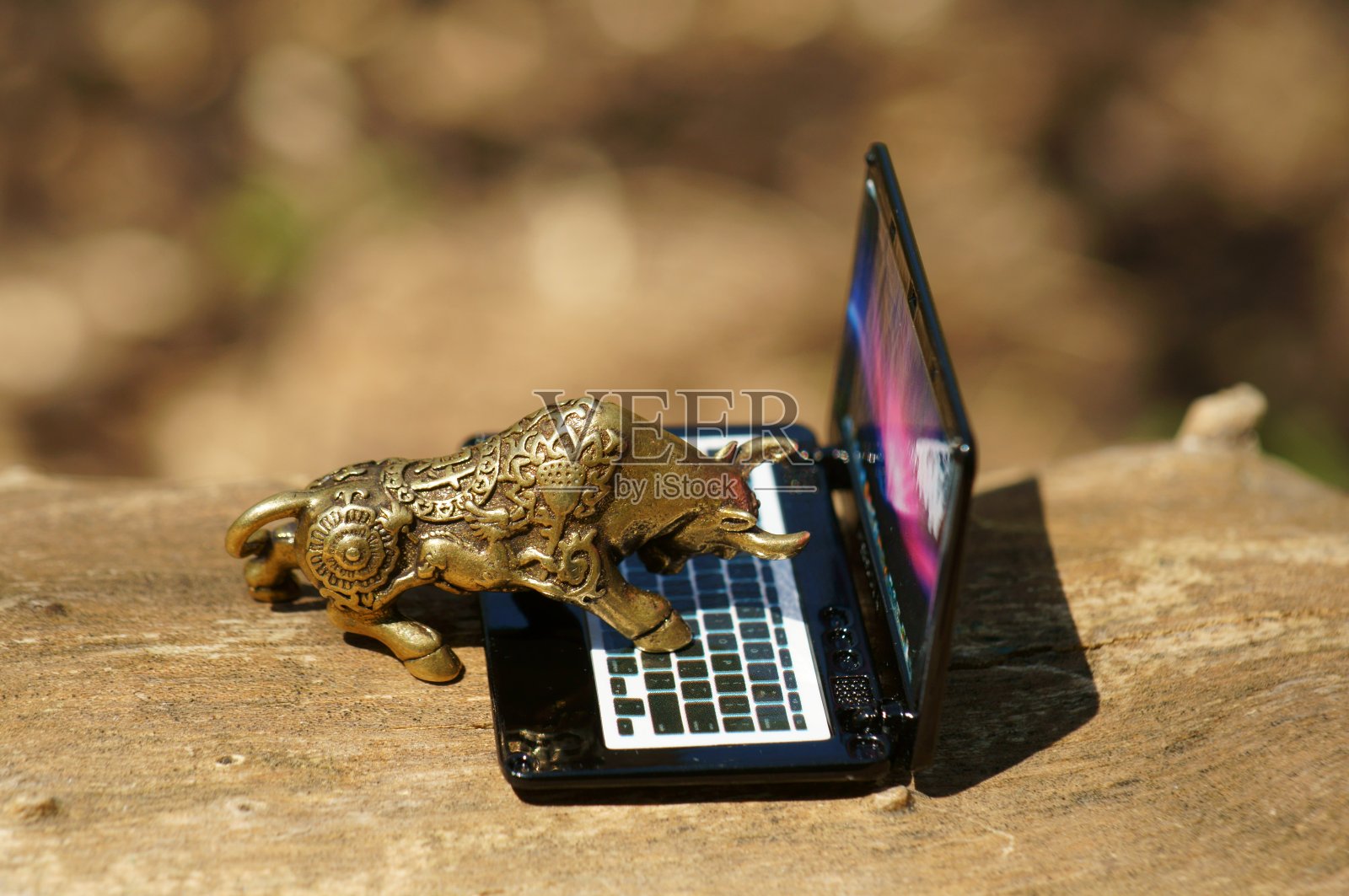 一个带笔记本电脑的金属公牛雕像。照片摄影图片