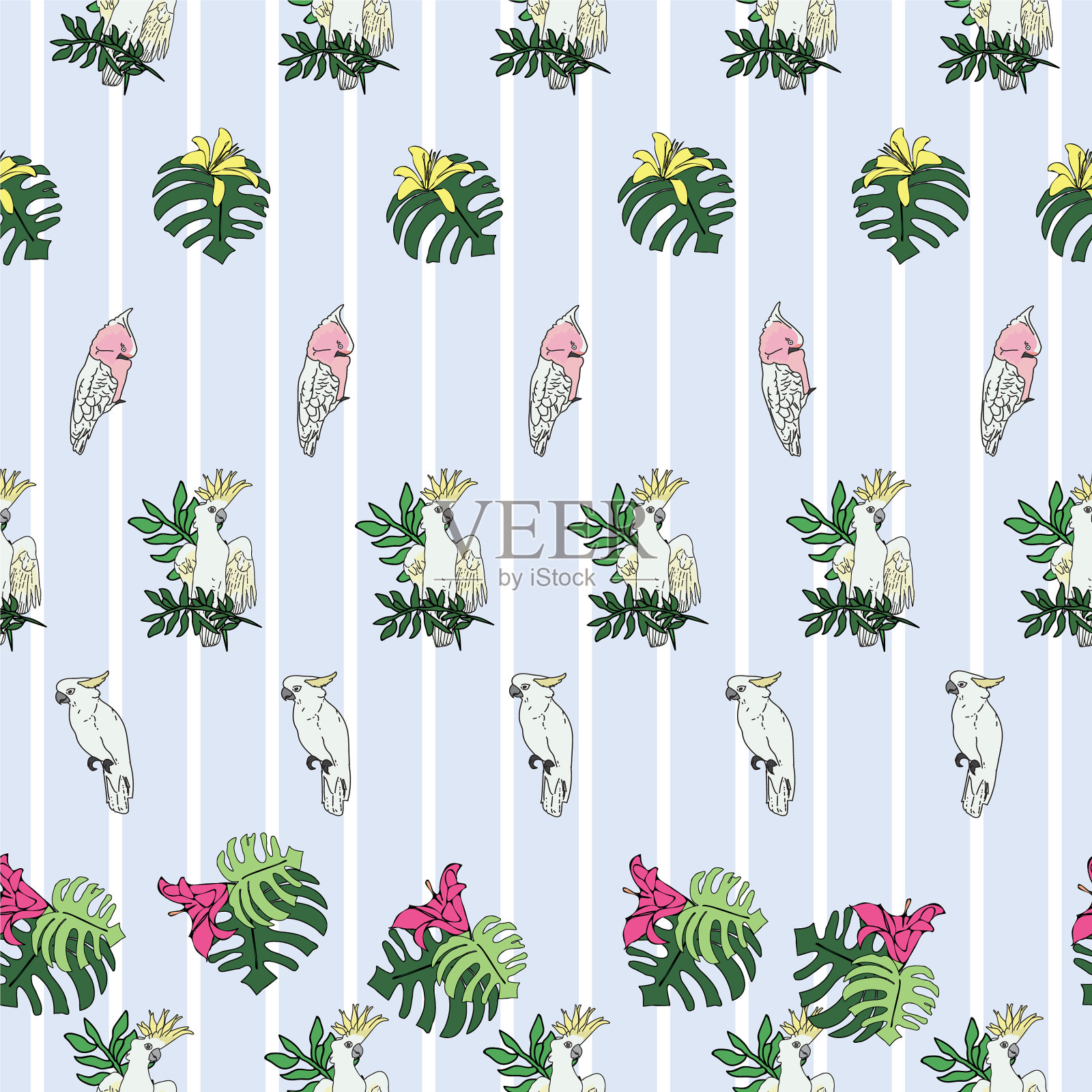 淡蓝色背景的热带鸟类插画图片素材