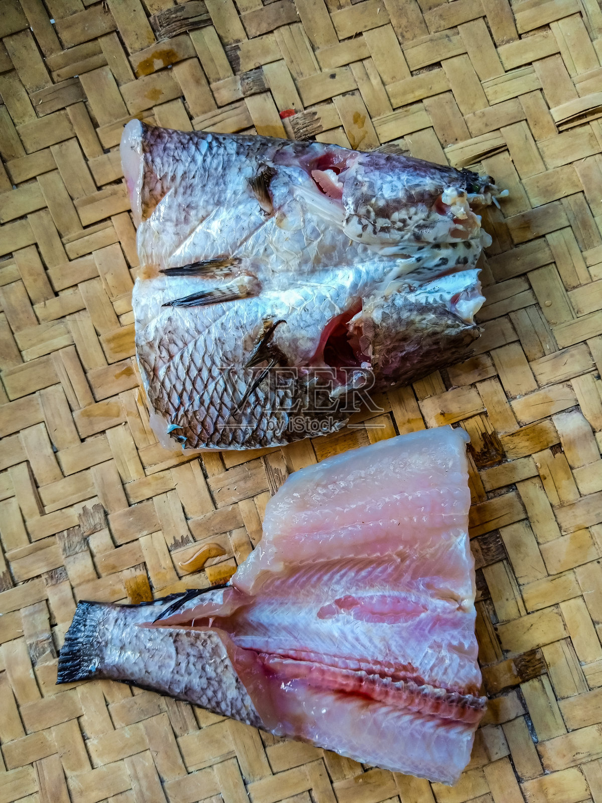 Haruan鱼照片摄影图片