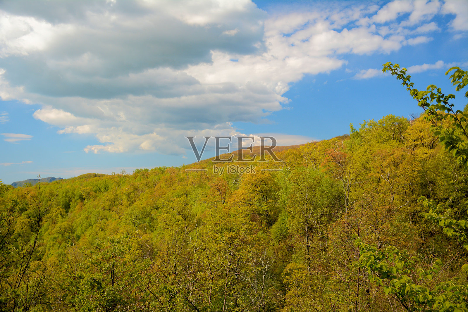 谢南多厄国家公园照片摄影图片