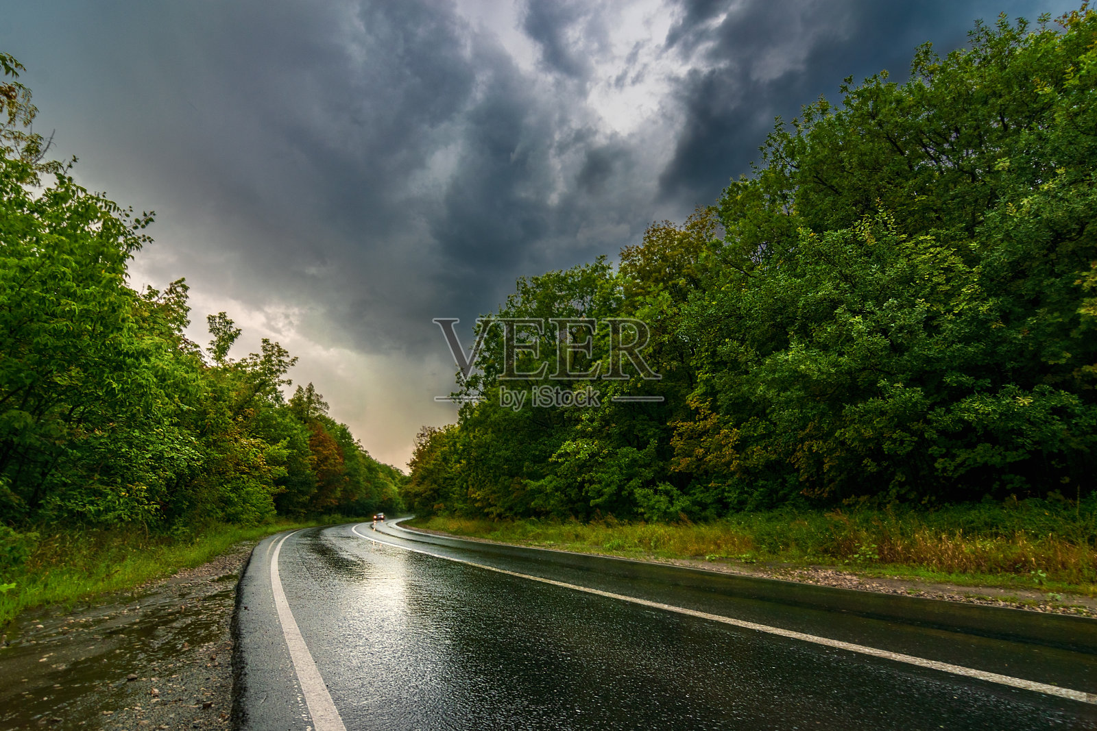 沥青路的乡村全景在雨天的夏天。秋雨路在森林下戏剧性的多云天空照片摄影图片