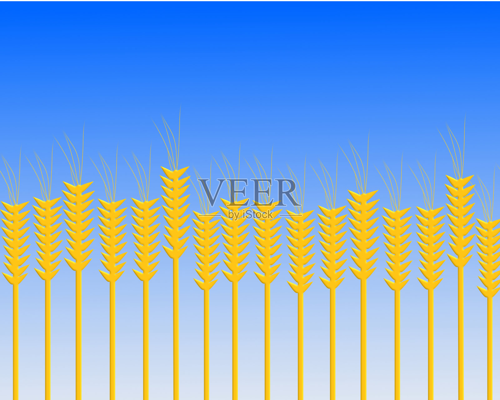 金黄色的麦田映衬着蓝色渐变的天空插画图片素材
