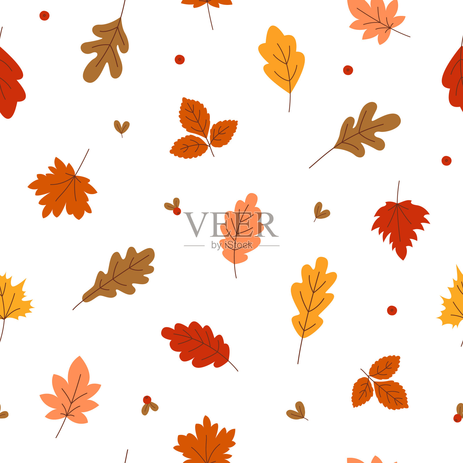 无缝模式的秋天叶子和浆果的越橘。五彩缤纷的橡树和枫树叶在白色的背景上。矢量图插画图片素材
