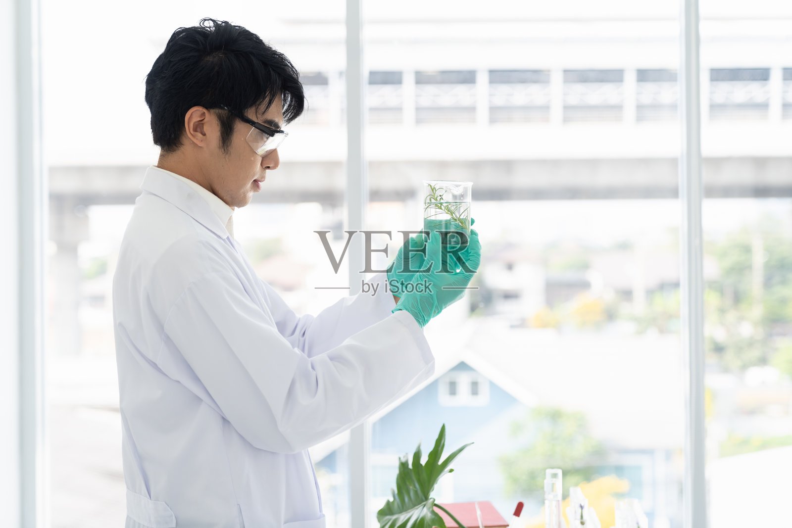 科学家们在实验室里对植物进行测试。亚洲男性科学家在实验室拿着玻璃器皿进行细菌和细菌分析。科学实验。研究者与发现概念照片摄影图片