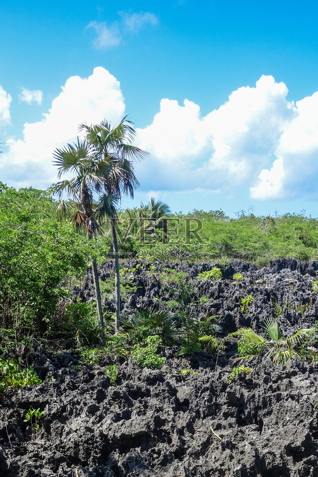 西湾,开曼岛,地狱照片摄影图片