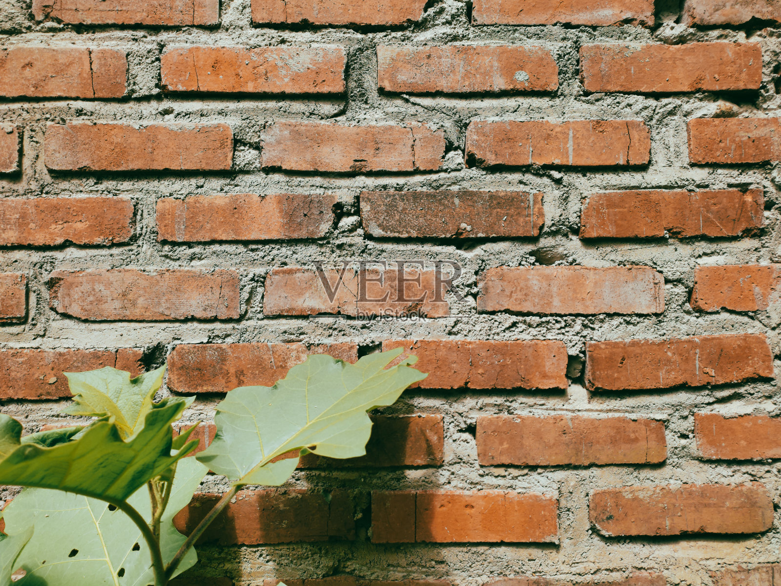 砖墙的背景照片摄影图片