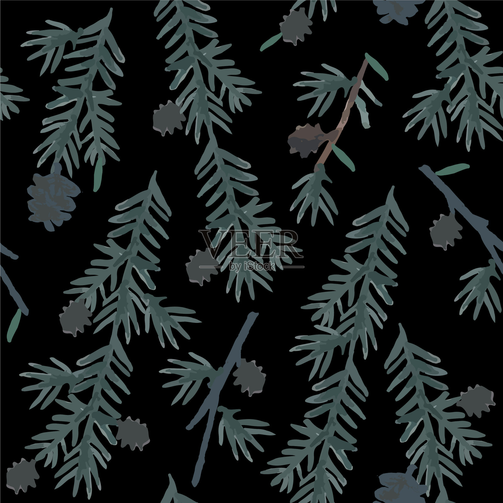 针叶的树枝和球果插画图片素材