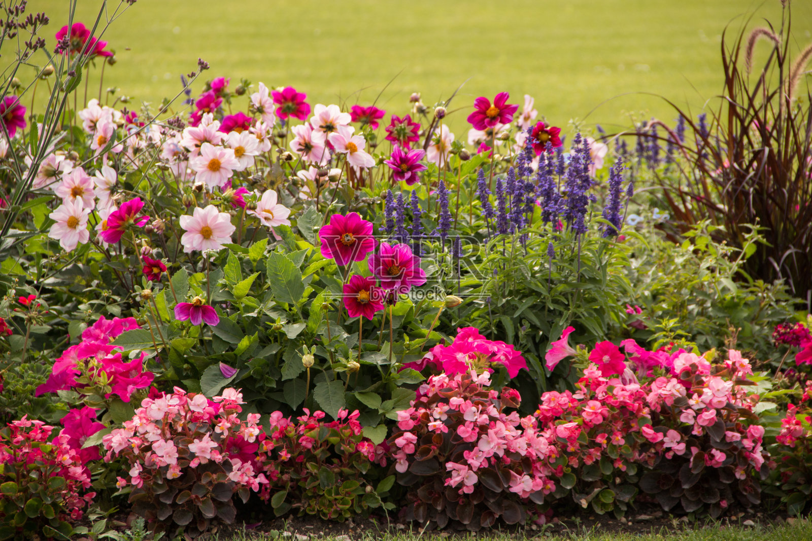 巴黎的花园被鲜花包围。照片摄影图片