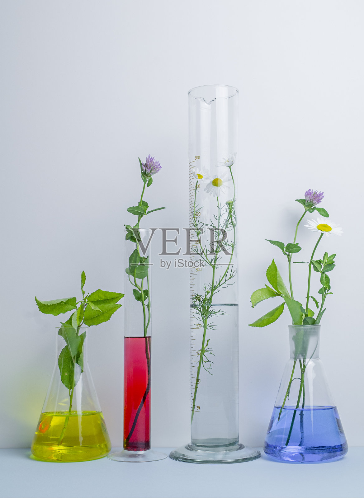 玻璃器皿中天然有机科学提取,替代绿色草药,复制空间。实验室与发展理念。照片摄影图片