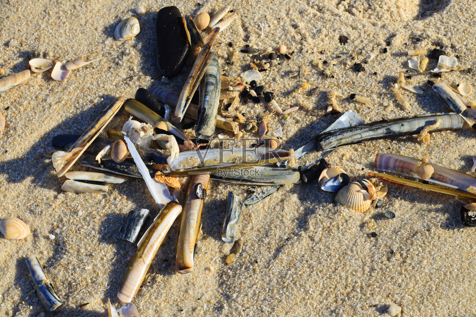 西尔特海滩景观,德国,欧洲照片摄影图片