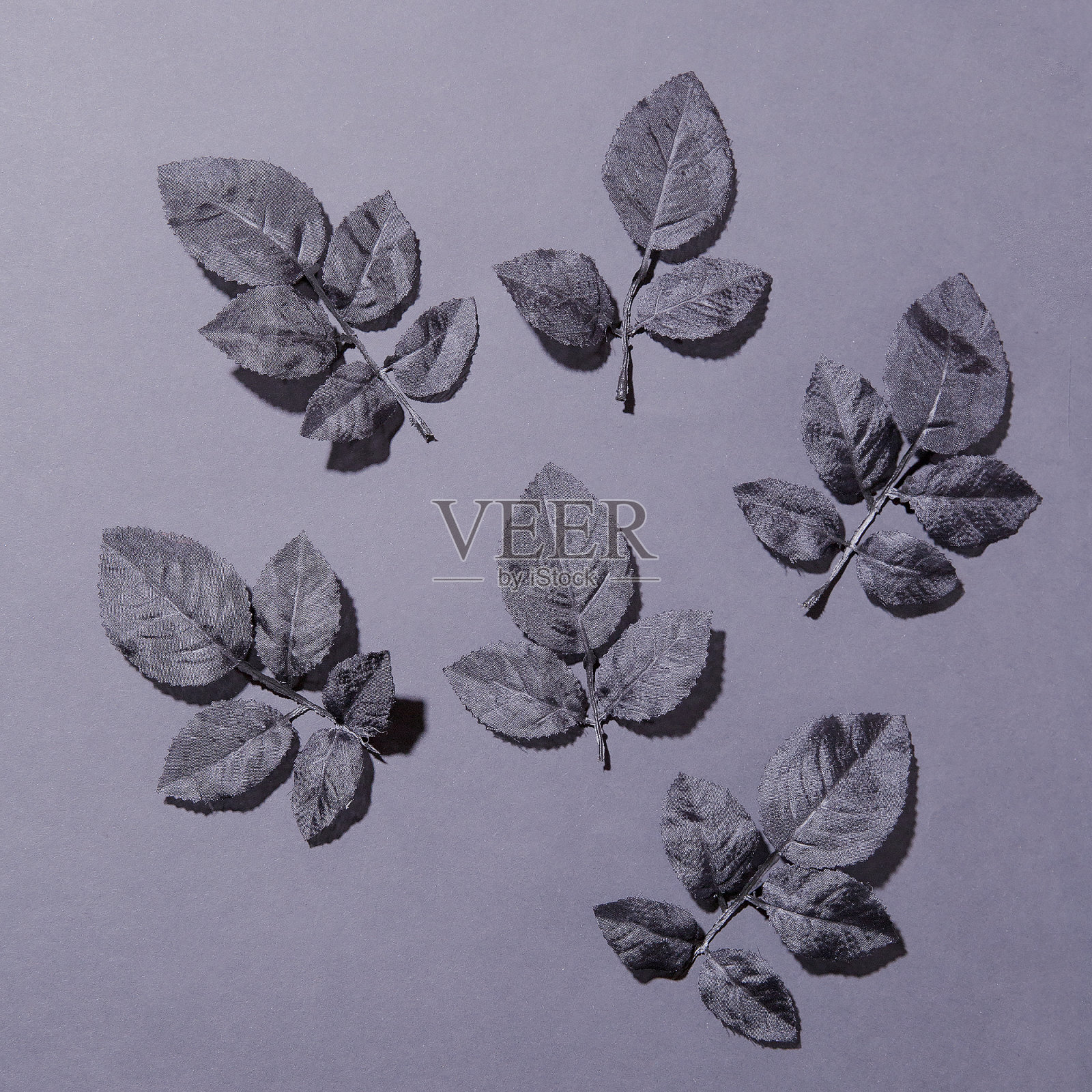 黑色树叶装饰组成的单色背景。时尚的平铺场景照片摄影图片