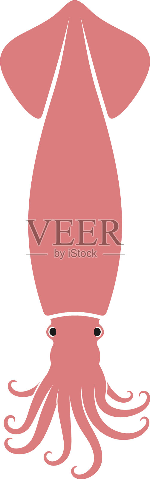 鱿鱼设计元素图片