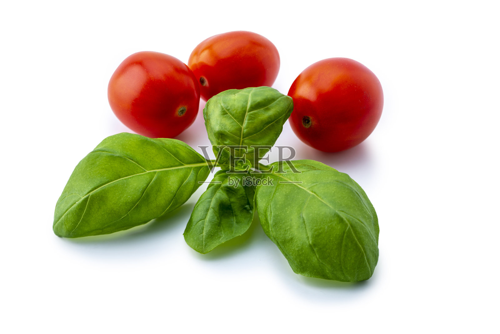 番茄与罗勒孤立在白色背景照片摄影图片