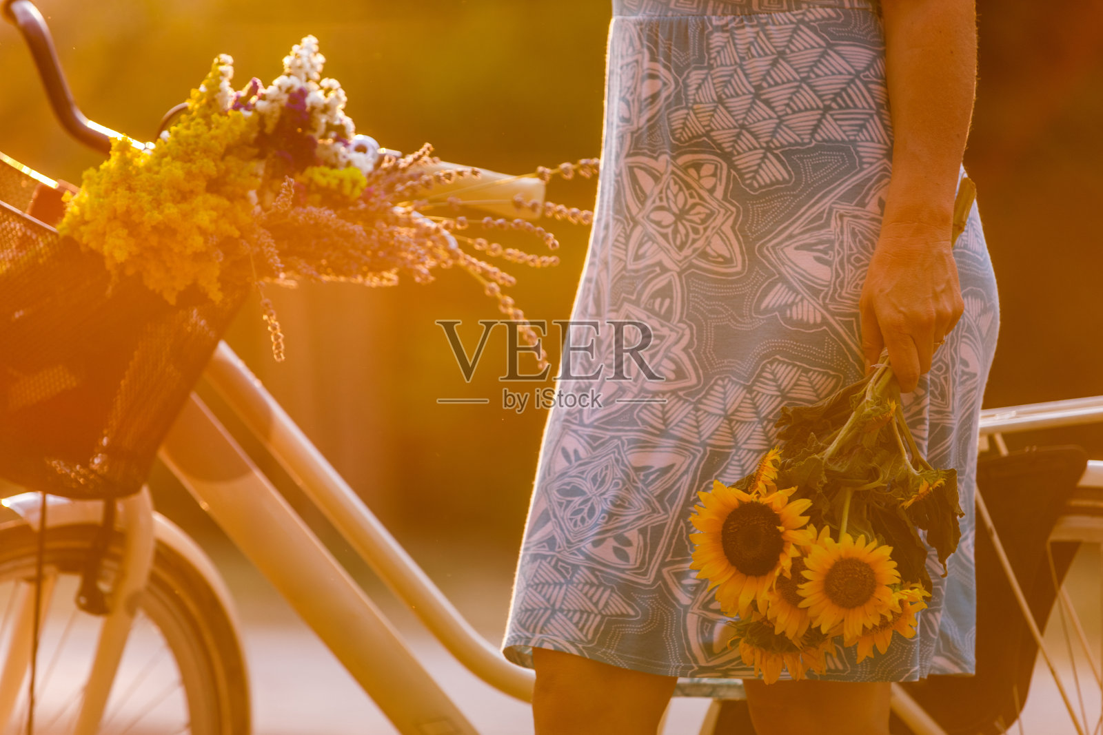 一位女士在公园里骑着自行车,手捧一束向日葵,享受美好的一天照片摄影图片