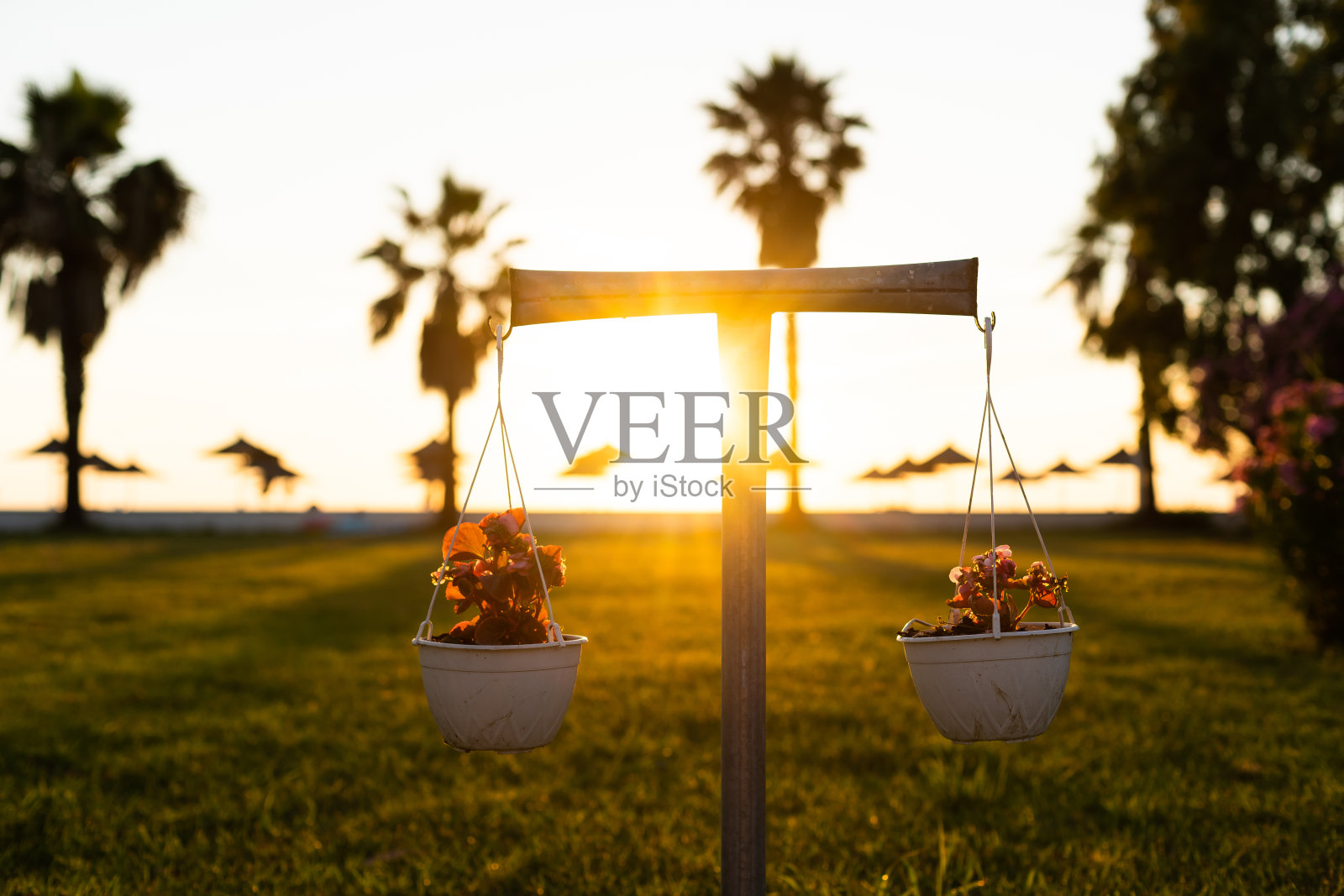 傍晚海景和日光浴躺椅照片摄影图片