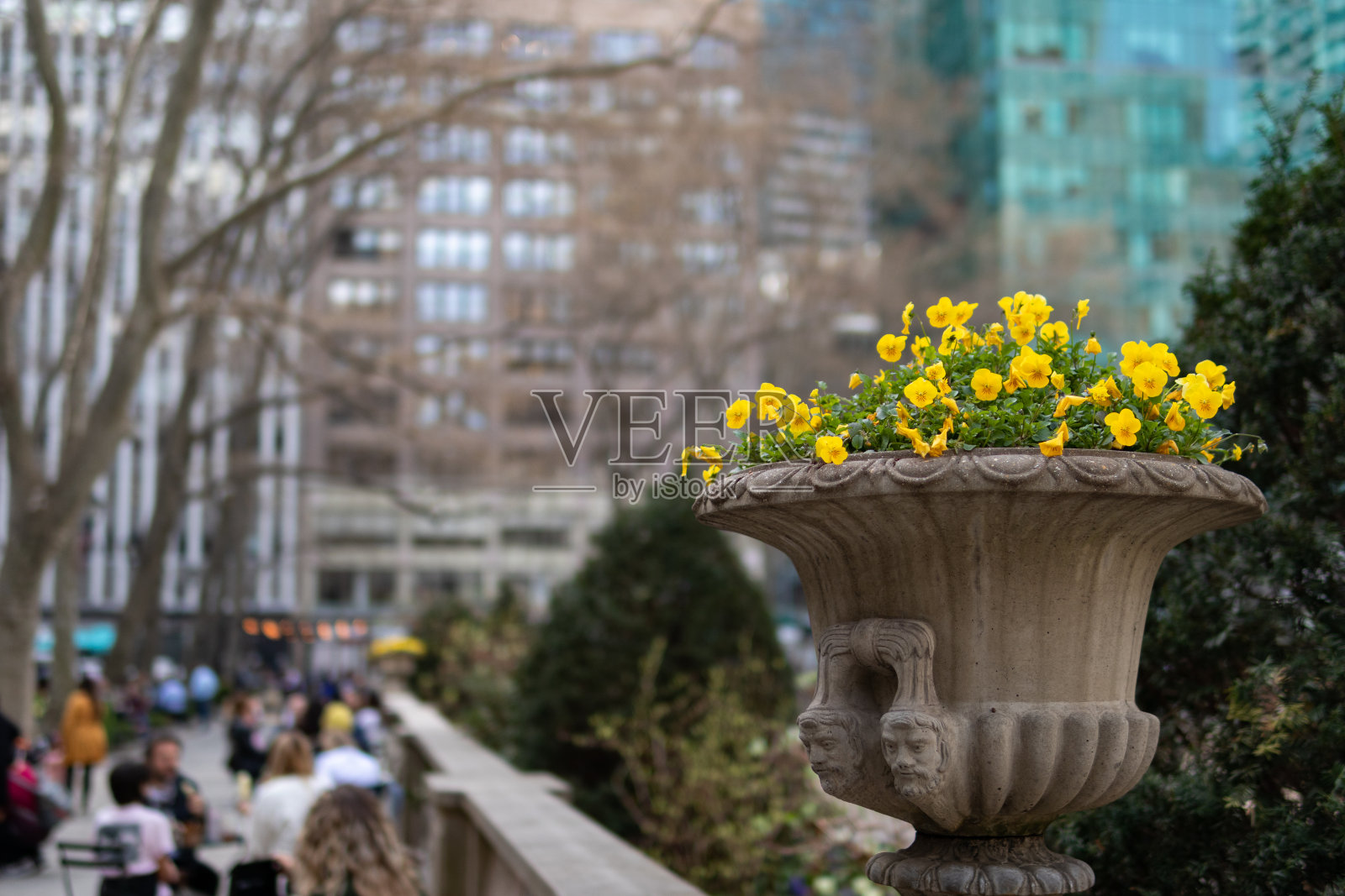 布赖恩特公园的石头花盆与黄花在春天在纽约曼哈顿中城照片摄影图片