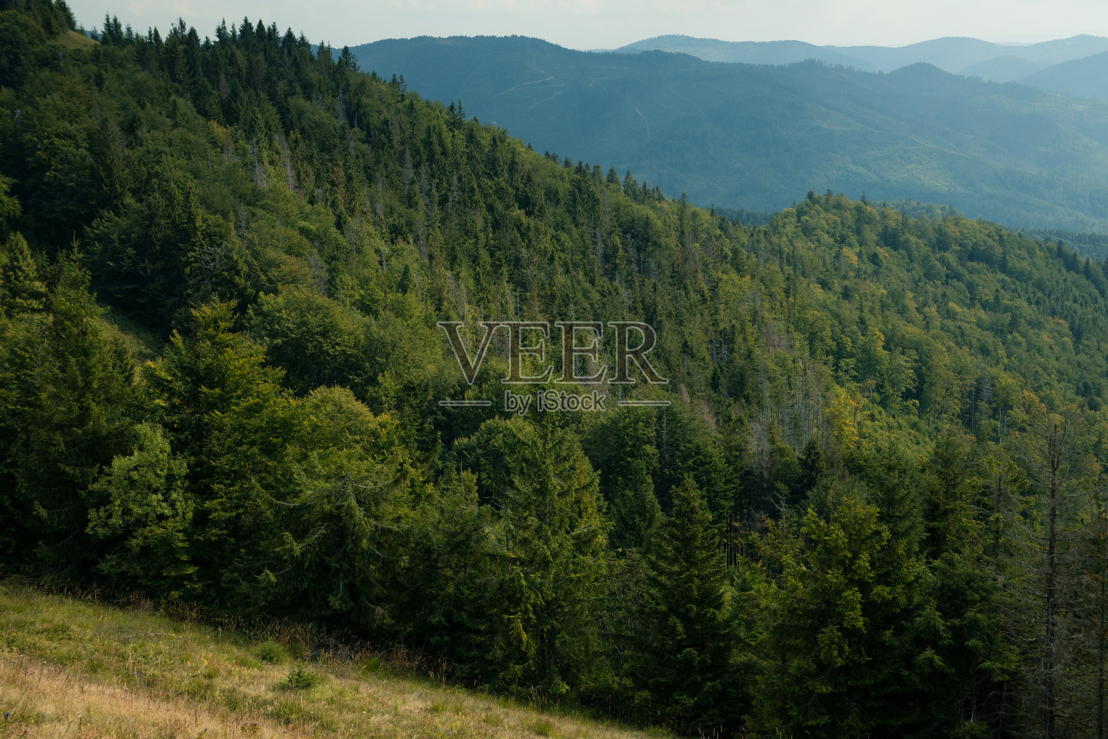 空中山地森林景观摄影在清晨天气时间与雾在地平线上照片摄影图片