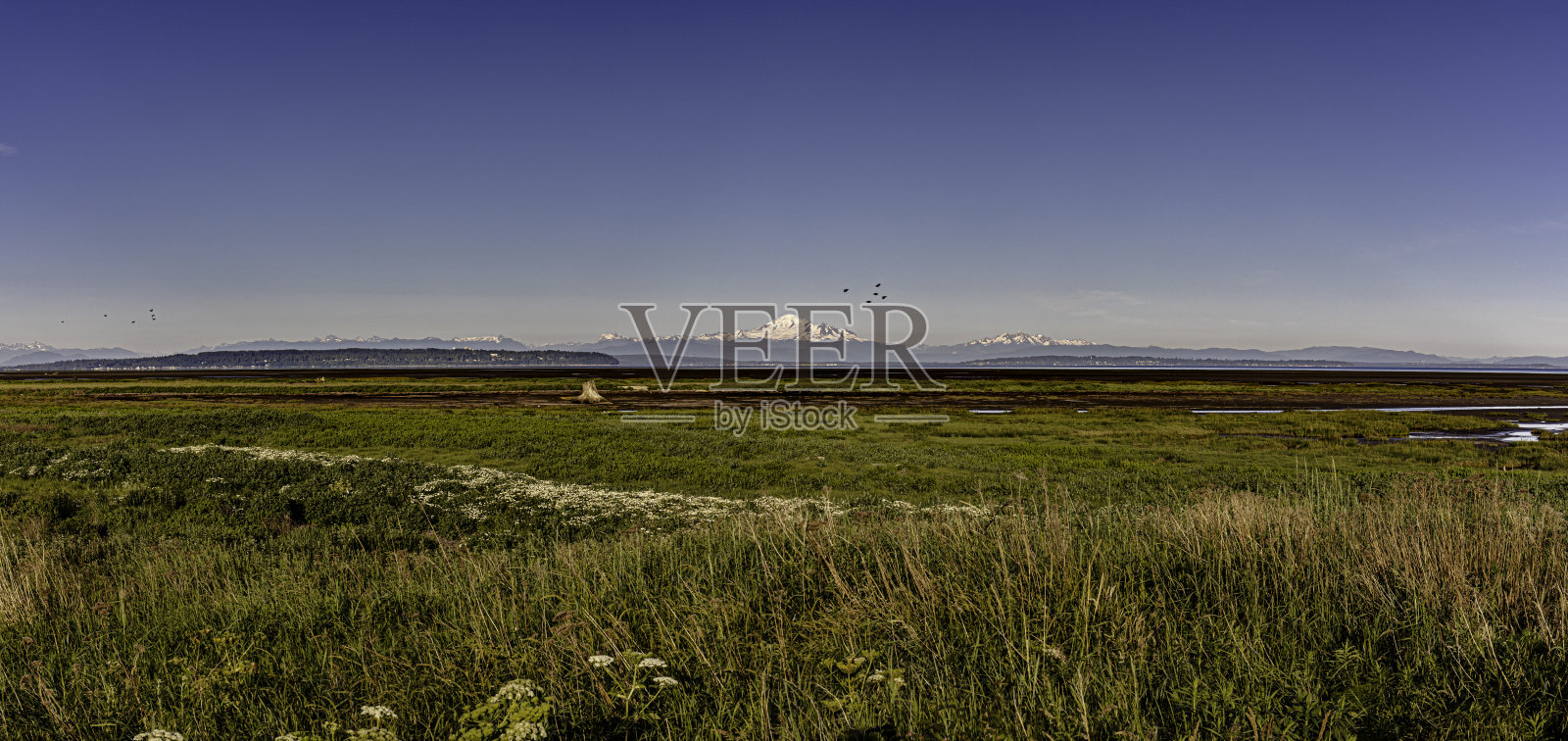 边界湾野生动物管理区,远处是贝克山。照片摄影图片