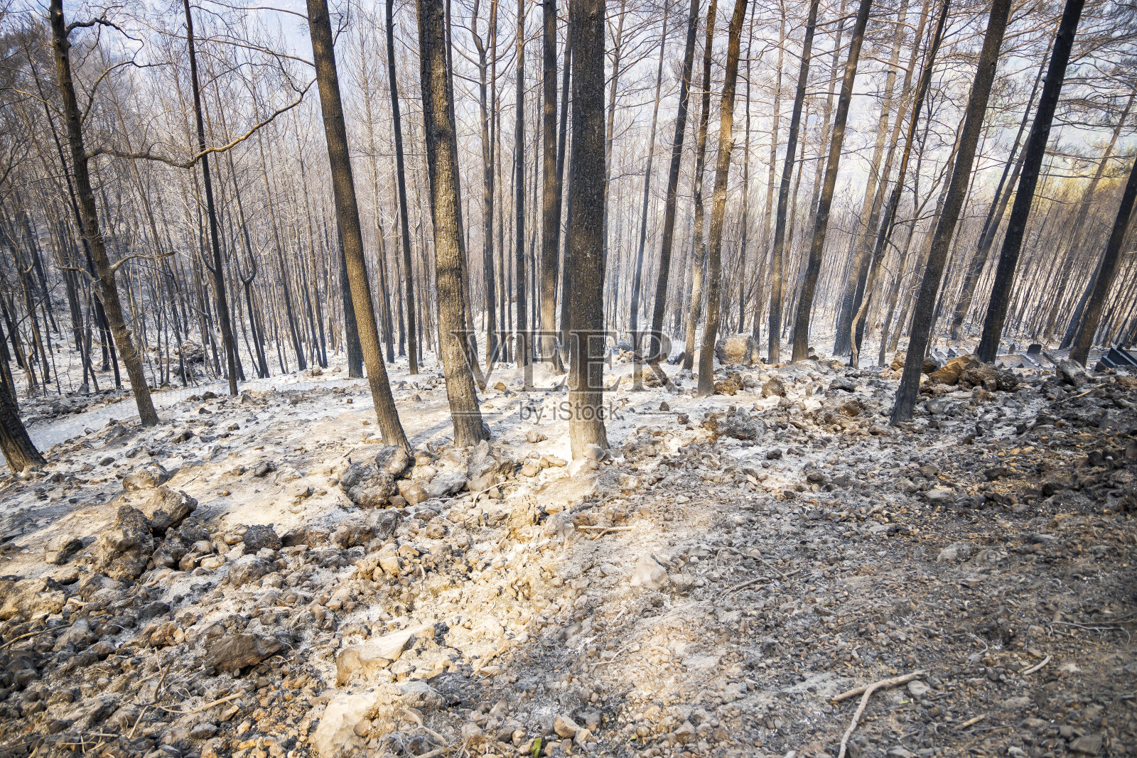 烧毁森林,村庄和农村地区到土耳其照片摄影图片