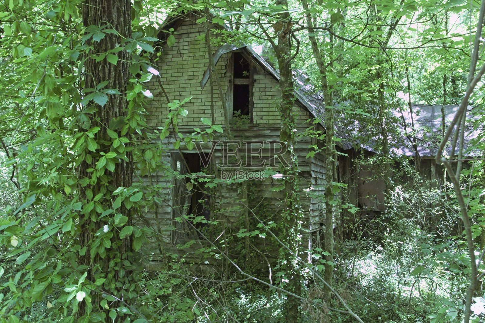 放弃了家庭照片摄影图片