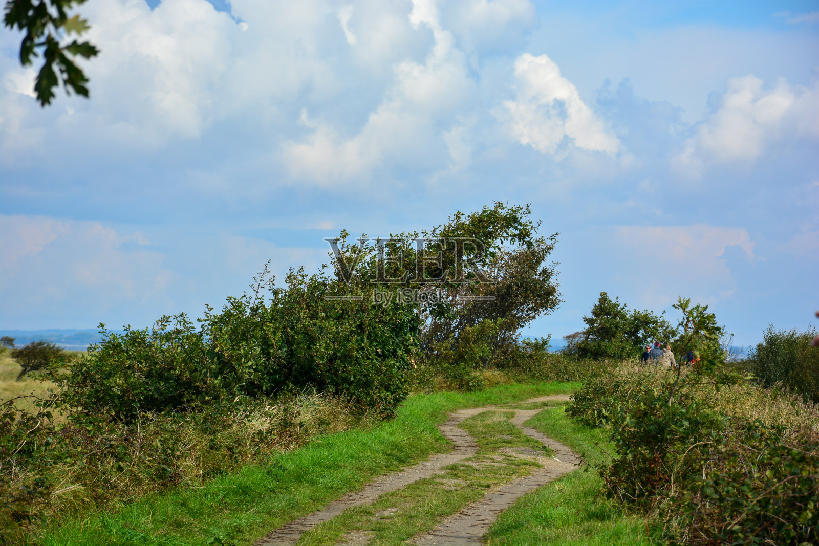波罗的海石勒苏益格-荷尔斯泰因自然保护区的徒步旅行路线照片摄影图片