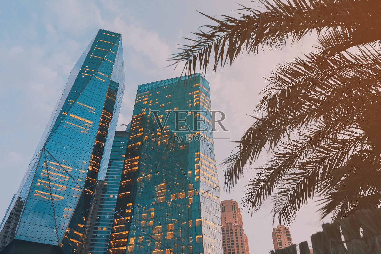 日落后黄昏时亮着灯和前景中热带棕榈树的办公楼照片摄影图片