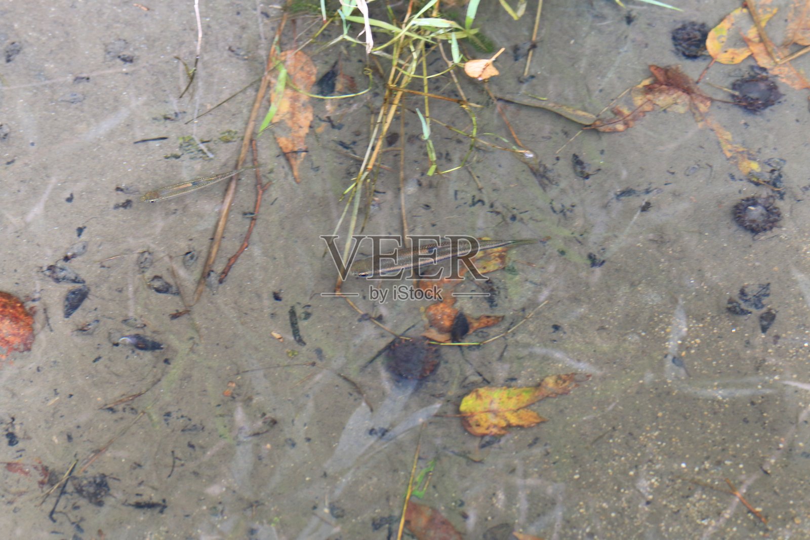 景观照片摄影图片