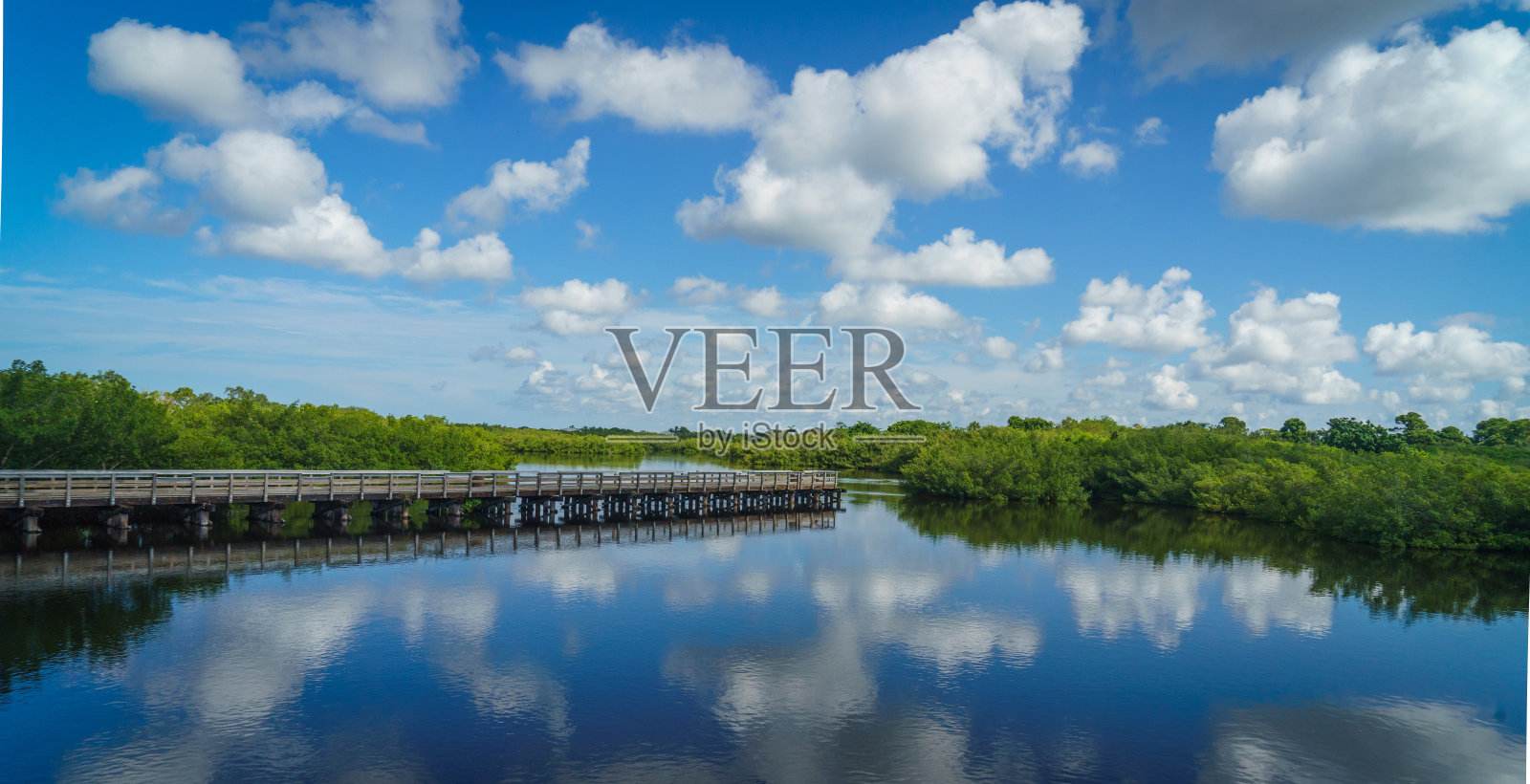 佛罗里达夏洛特港- 2021年照片摄影图片