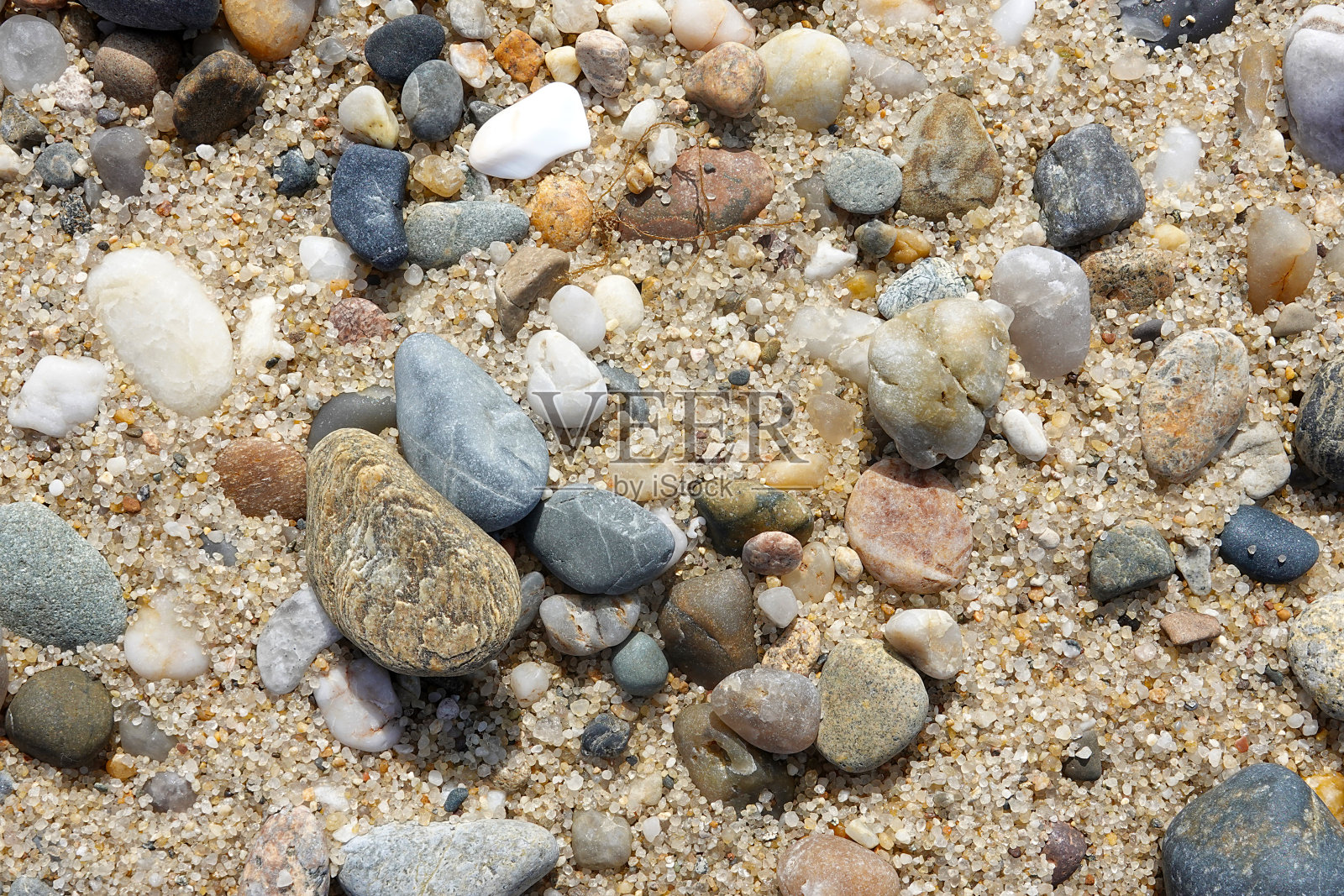 科德角海滩上的皮布和沙滩照片摄影图片