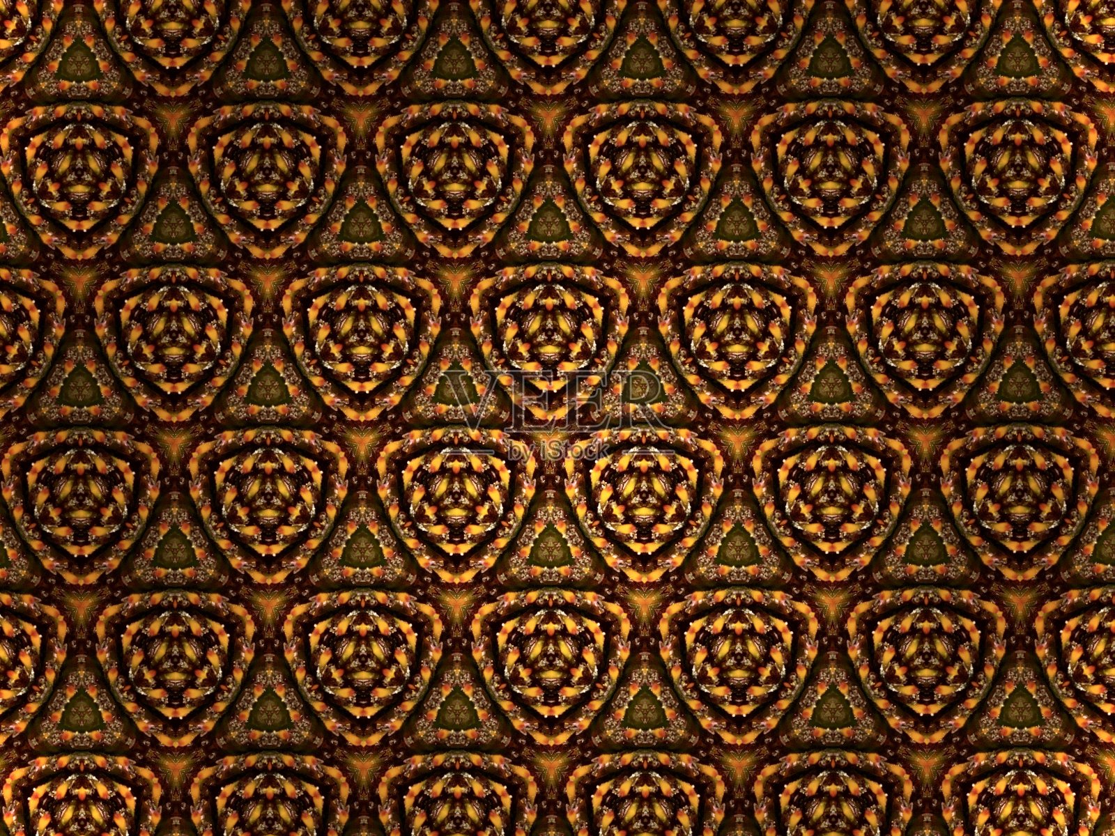 镶嵌图案的灵感来自自然照片摄影图片