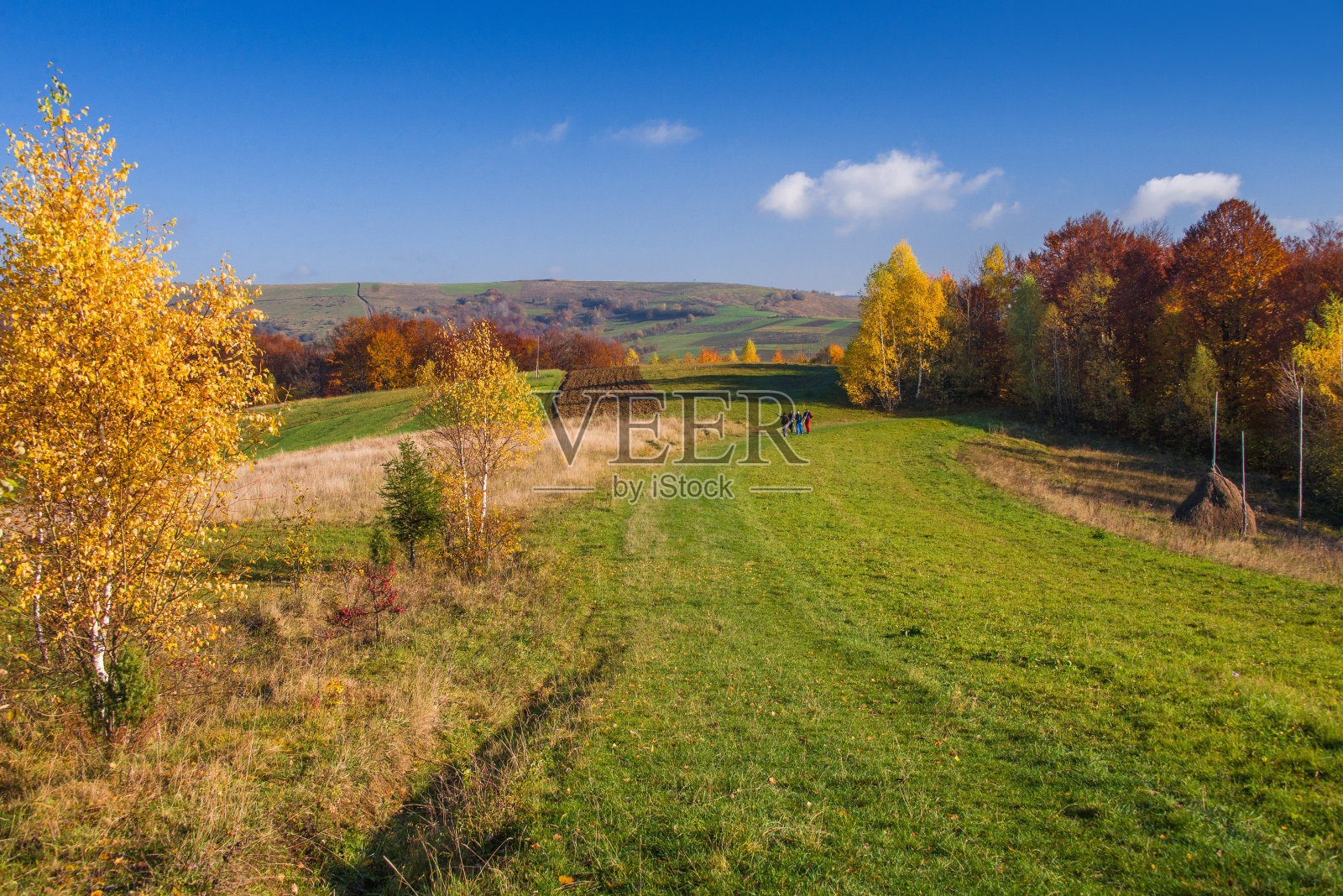 十月秋日,秋高气爽,秋高气爽,秋高气爽,秋高气爽,秋高气爽,秋高气爽,秋高气爽,秋高气爽,秋高气爽,秋高气爽,秋高气爽,秋高气爽。乌克兰利沃夫地区的皮克山照片摄影图片