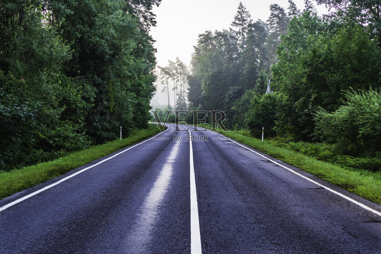 下雨的早晨,空旷的柏油路穿过雾蒙蒙的森林照片摄影图片