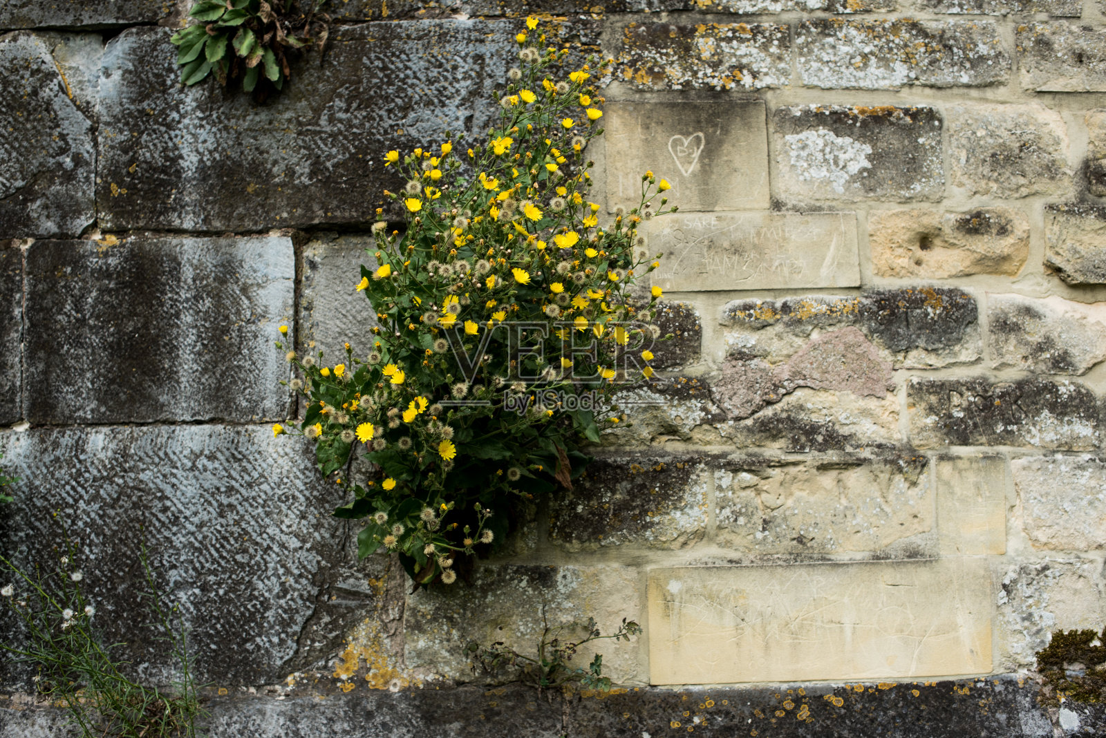 古老的石墙照片摄影图片