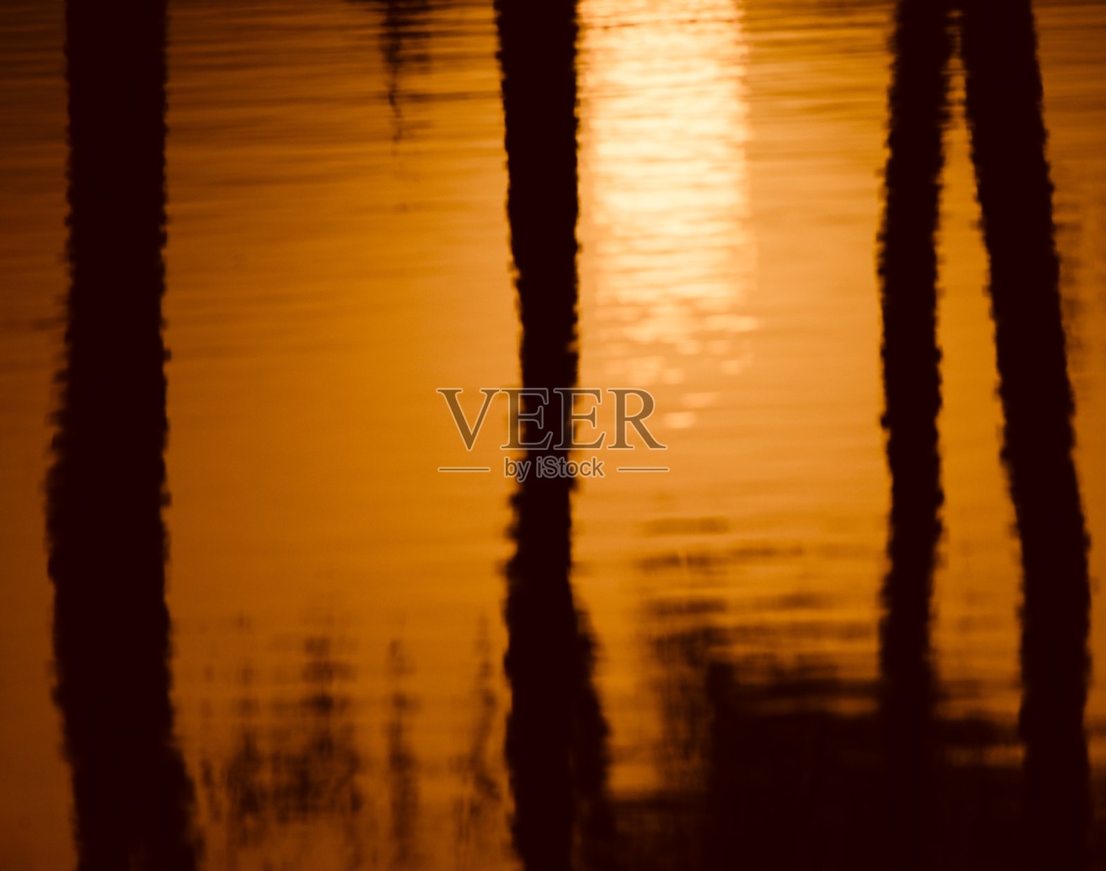 模糊的阳光反射在水独特的照片照片摄影图片