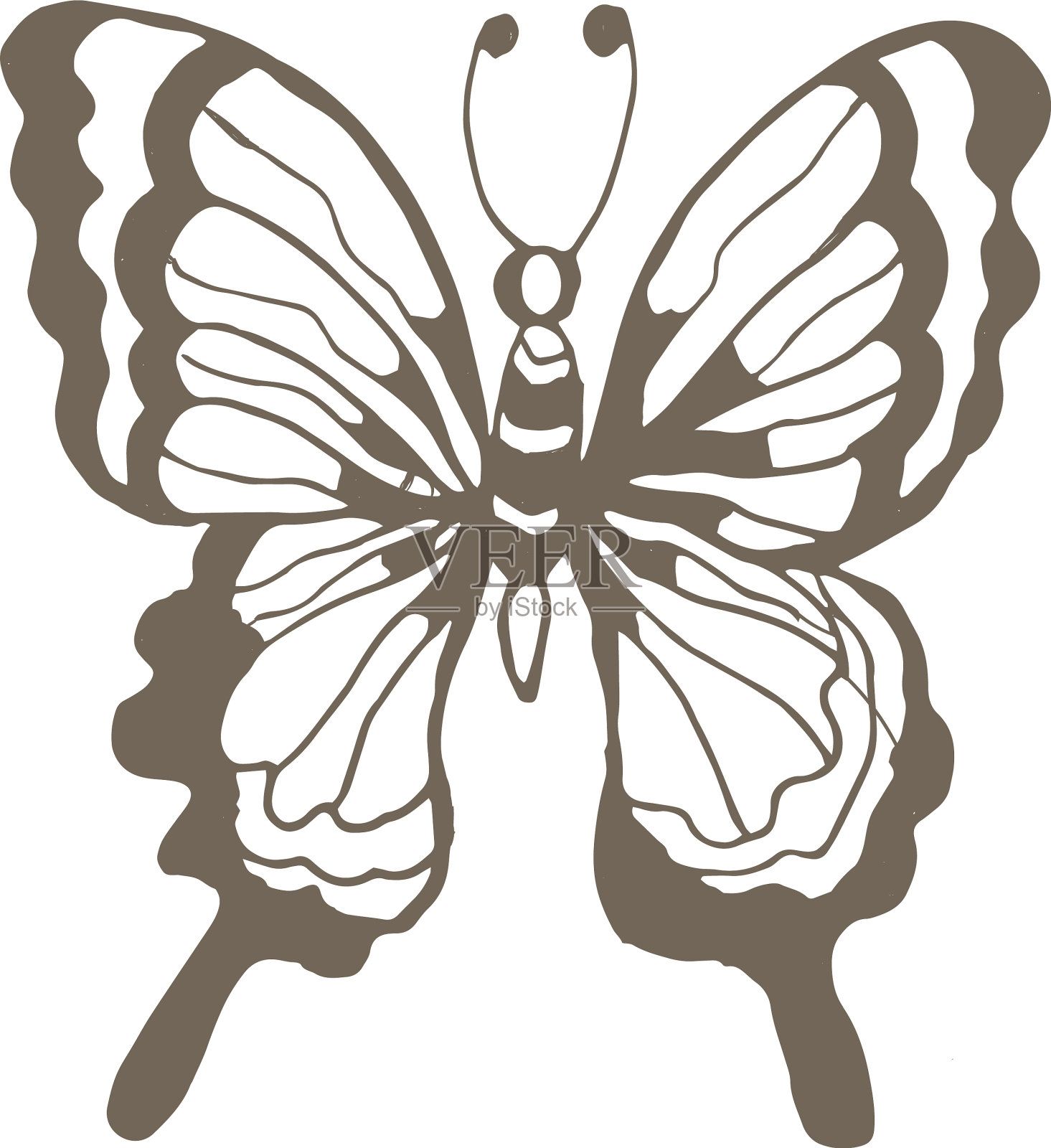 蝴蝶昆虫图形手绘插画图片素材