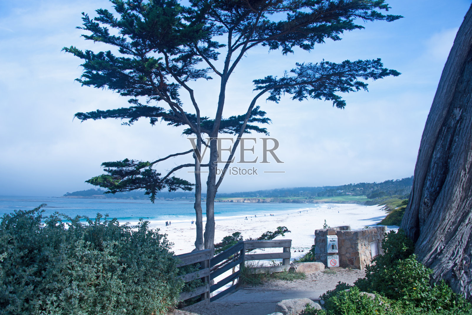 加州太平洋Coast-Carmel照片摄影图片