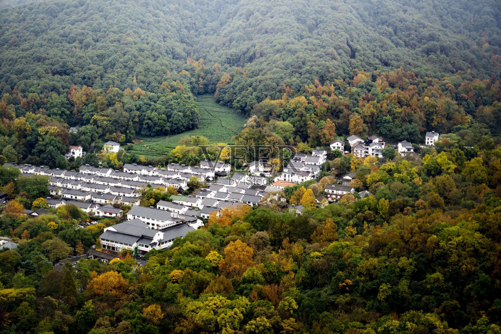 丛林中的村庄照片摄影图片