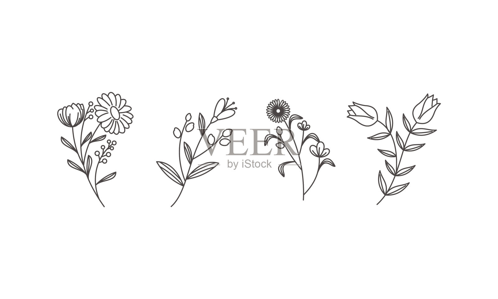 手绘花卉收藏设计元素图片