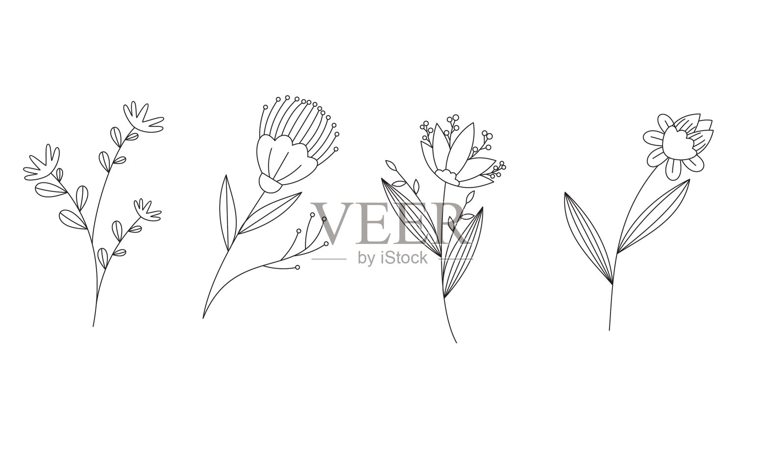 手绘花卉收藏设计元素图片