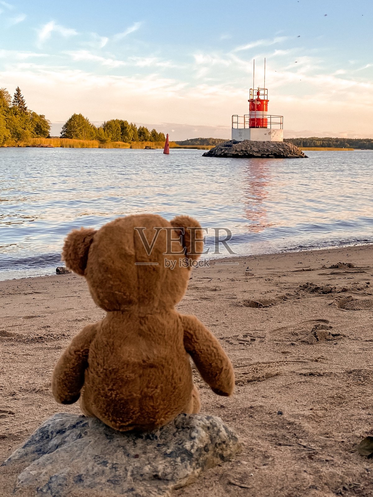 沙滩上的毛绒泰迪熊照片摄影图片