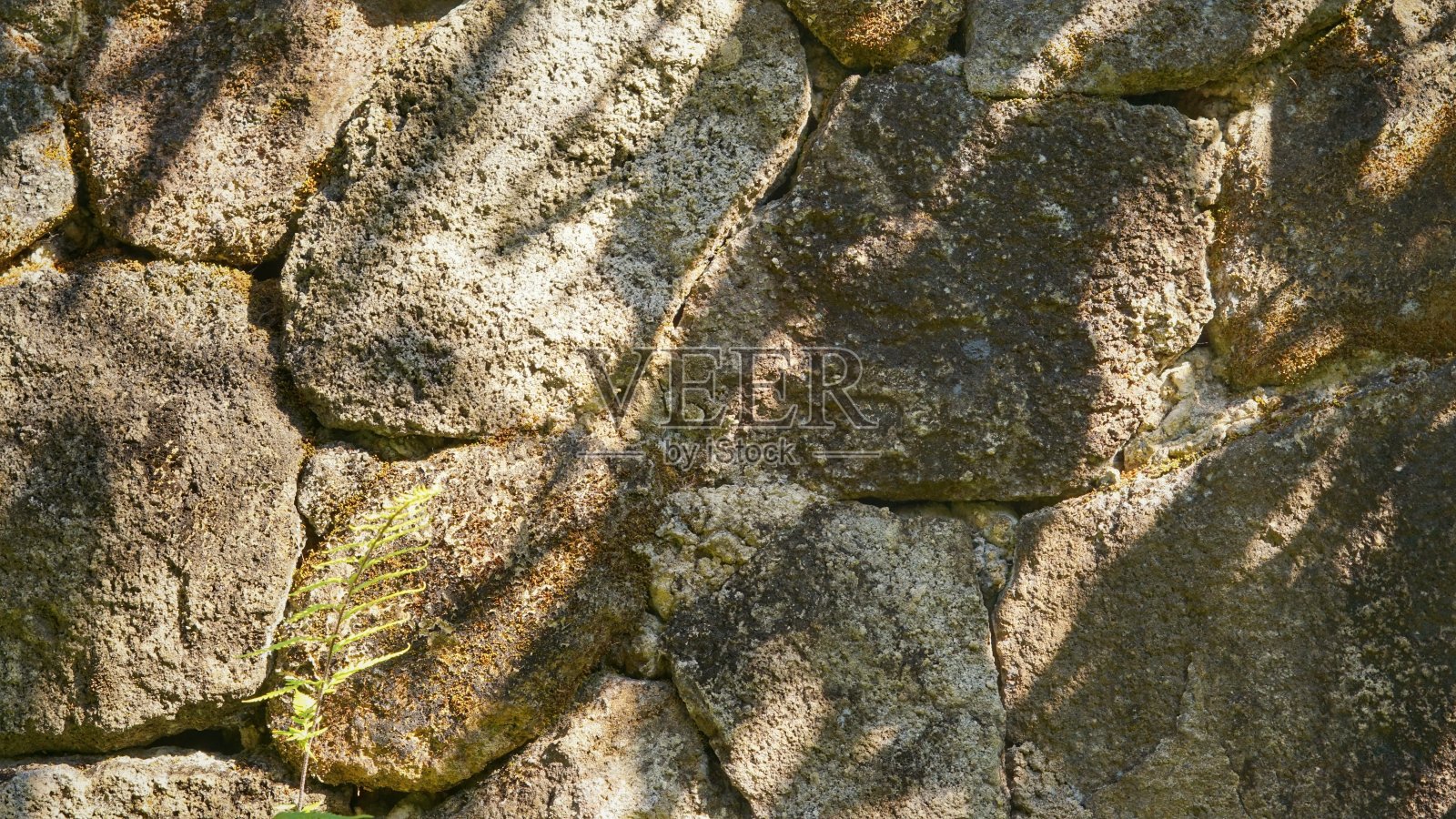 与石头一起醒来照片摄影图片