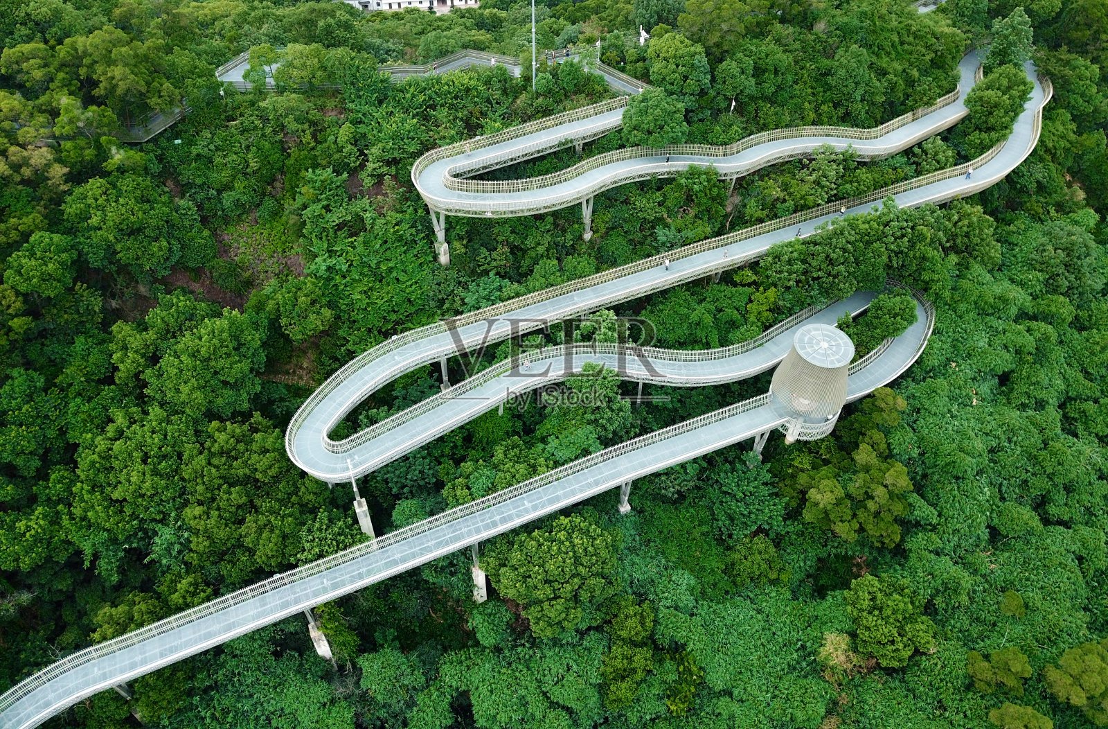 城市森林小径照片摄影图片