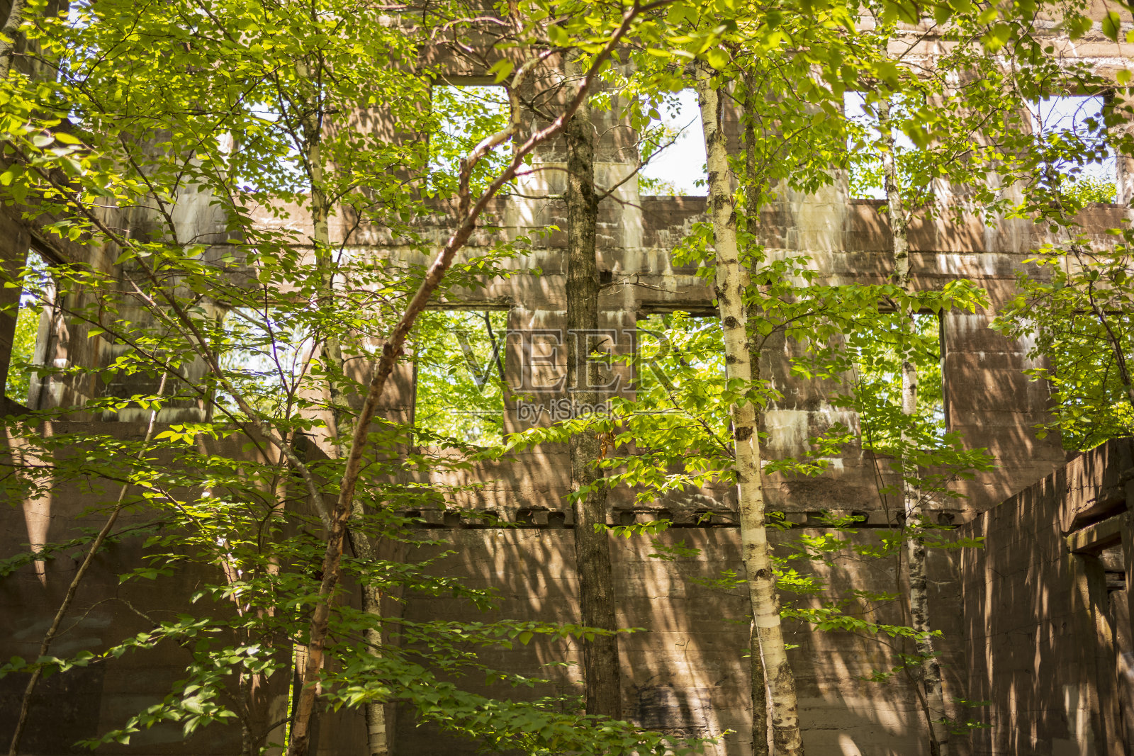 卡茨基尔酒店的遗迹,俯瞰山的房子,照片摄影图片