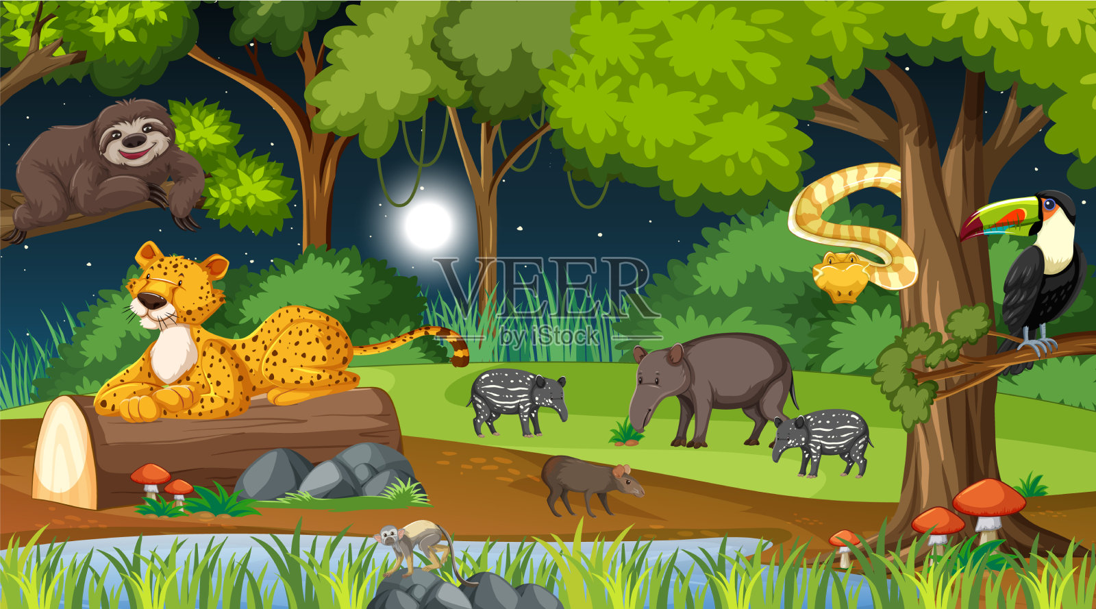 夜景自然森林中的野生动物插画图片素材