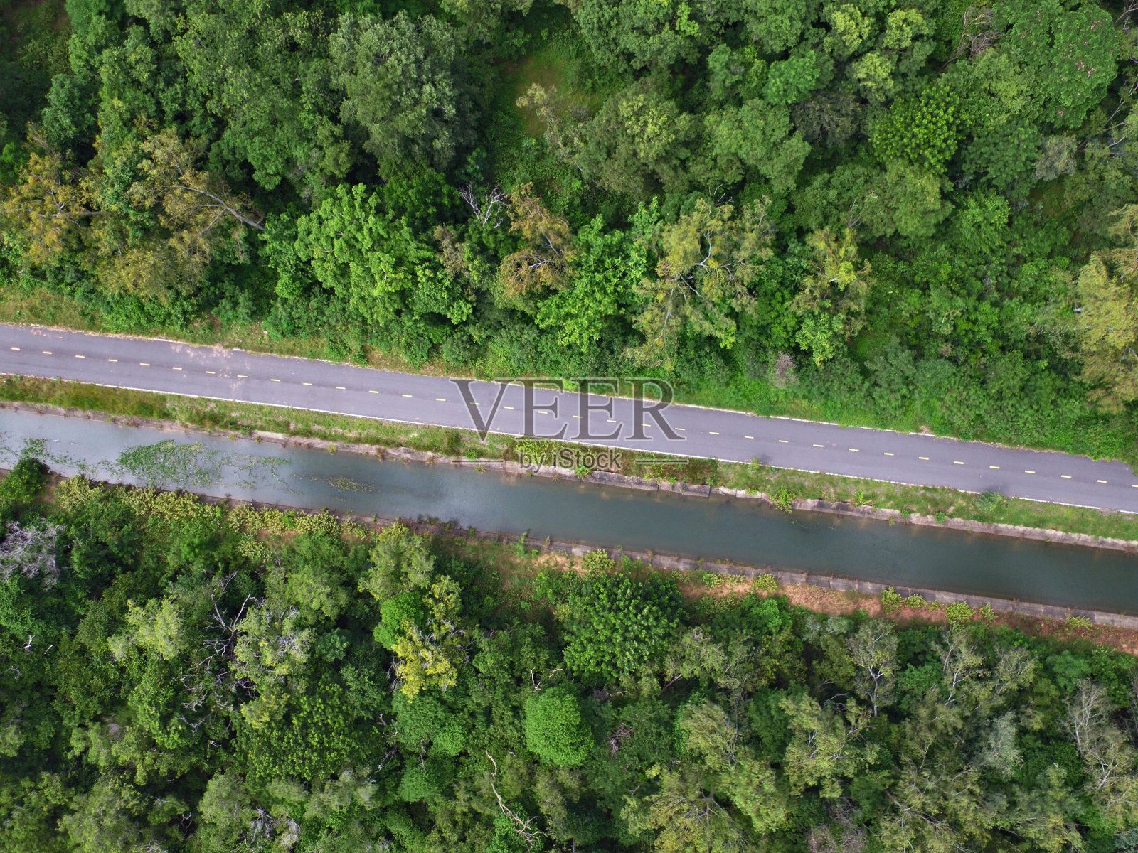 绿色森林之间的乡村道路的无人机视图照片摄影图片
