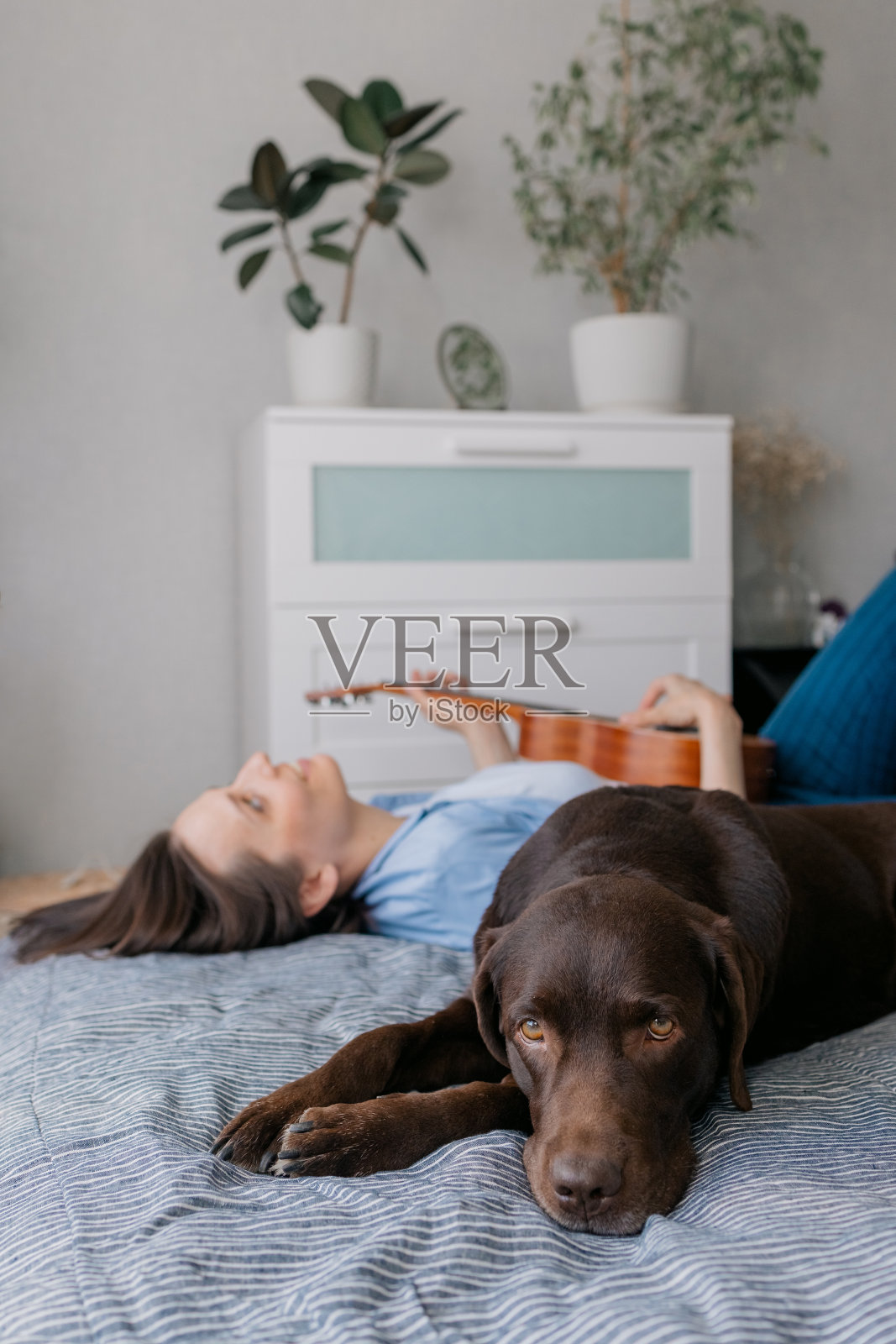 和她的狗一起弹吉他或尤克里里的女人照片摄影图片